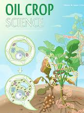 Oil Crop Science