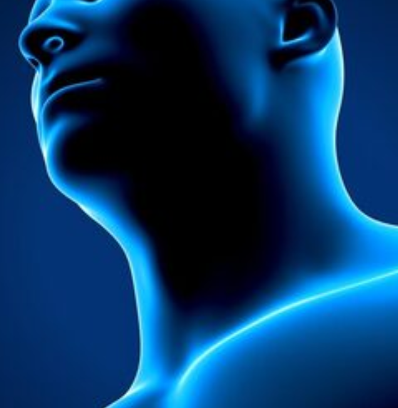 Unifying image-caption and image-classification datasets with prefix conditioning