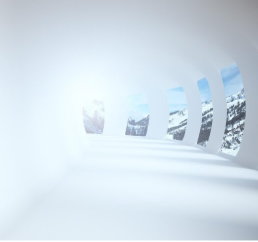 Smarter nucleic acid design with NucleoBench and AdaBeam